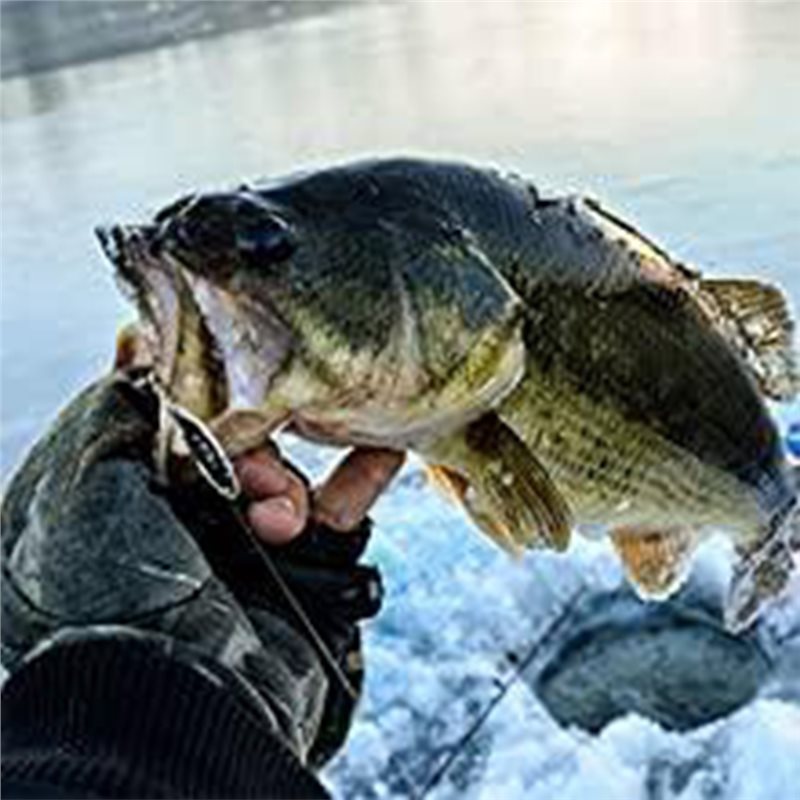 ABLB-Kajak Łódź Echosonda Prze – Fishing Boat Depth Finder recenzja i cena